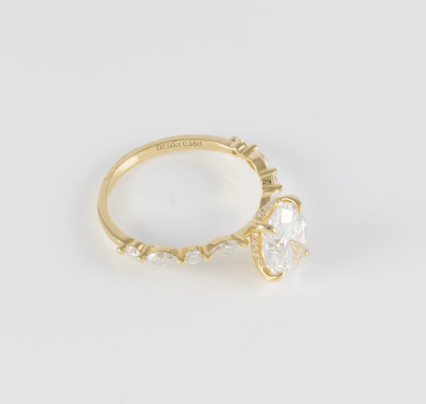 Anillo de compromiso halo oculto oro amarillo 14k con moissanita 2.5 ct