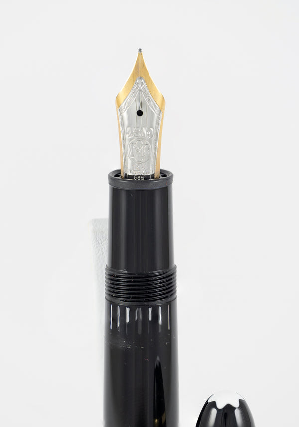 Montblanc Meisterstück Fountain Pen 585 14k Gold Nib