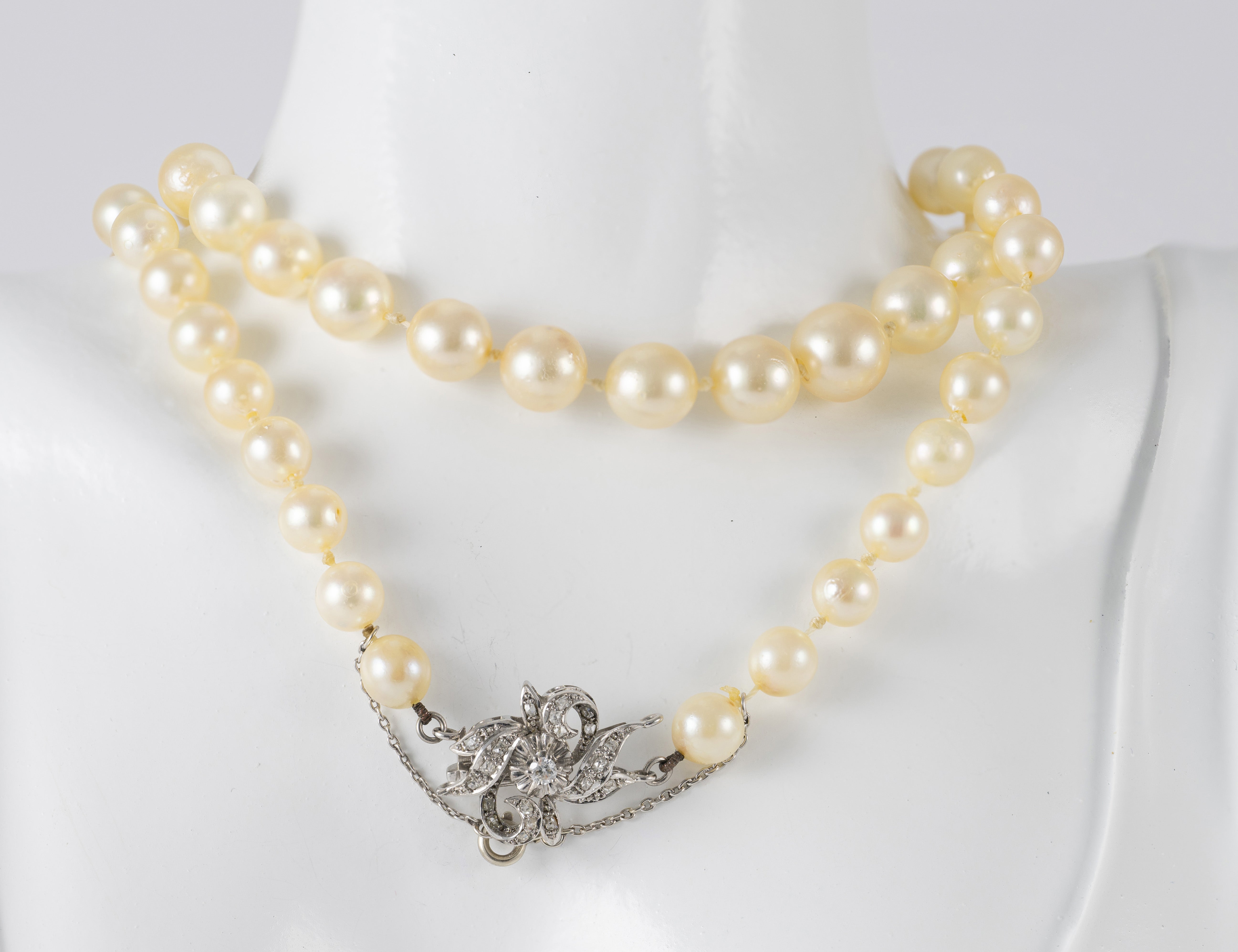 Collar de perlas con cierre en oro blanco 18k y diamantes