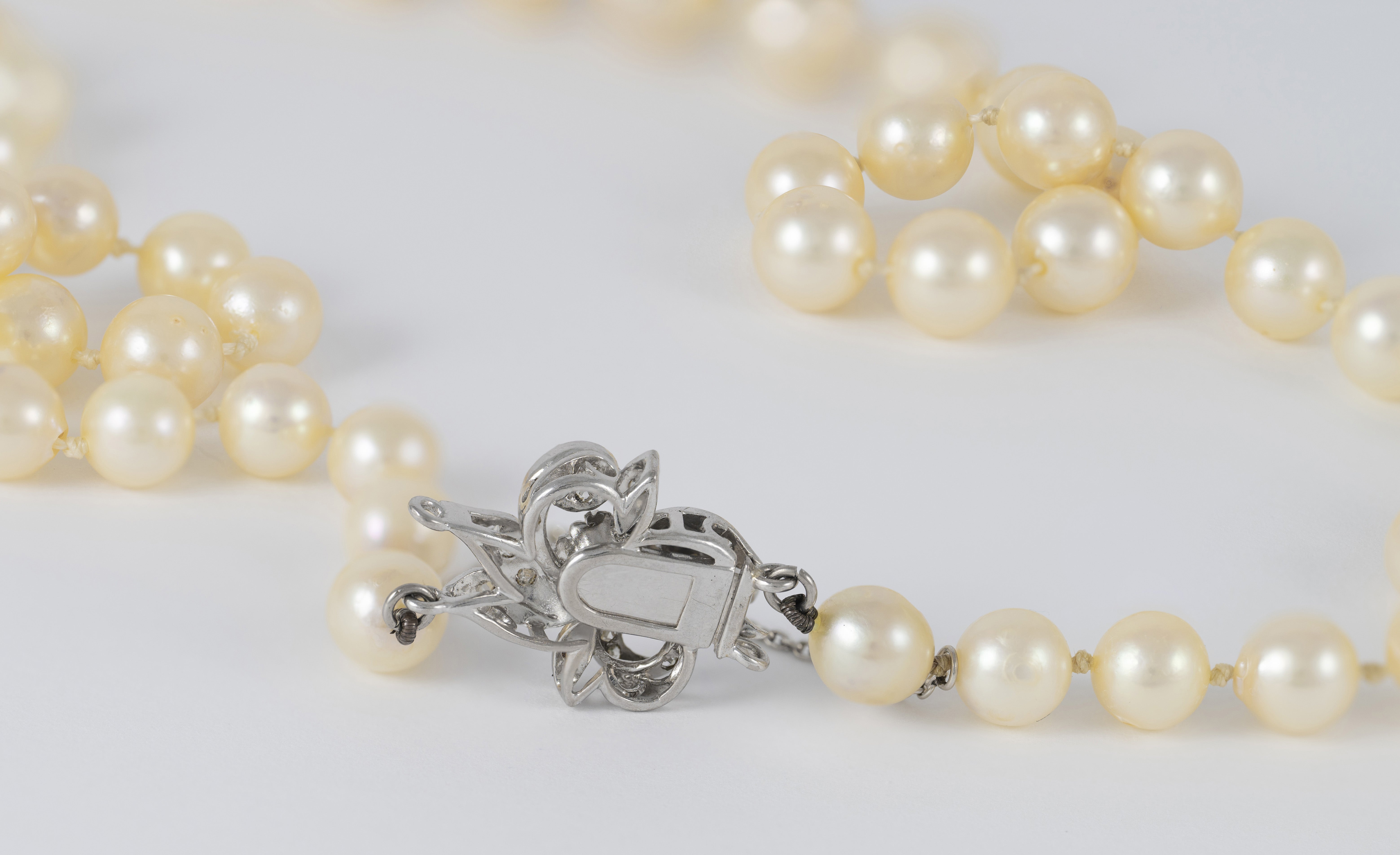 Collar de perlas con cierre en oro blanco 18k y diamantes