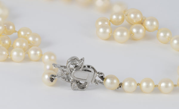 Collar de perlas con cierre en oro blanco 18k y diamantes