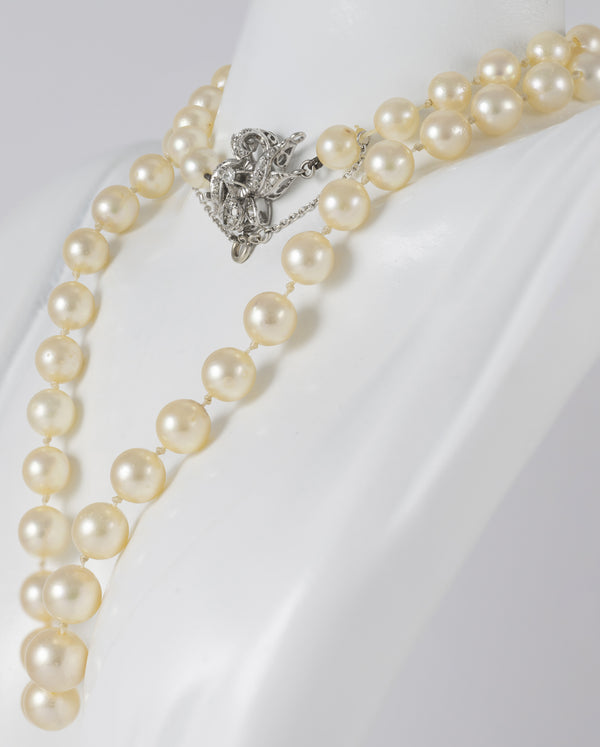 Collar de perlas con cierre en oro blanco 18k y diamantes
