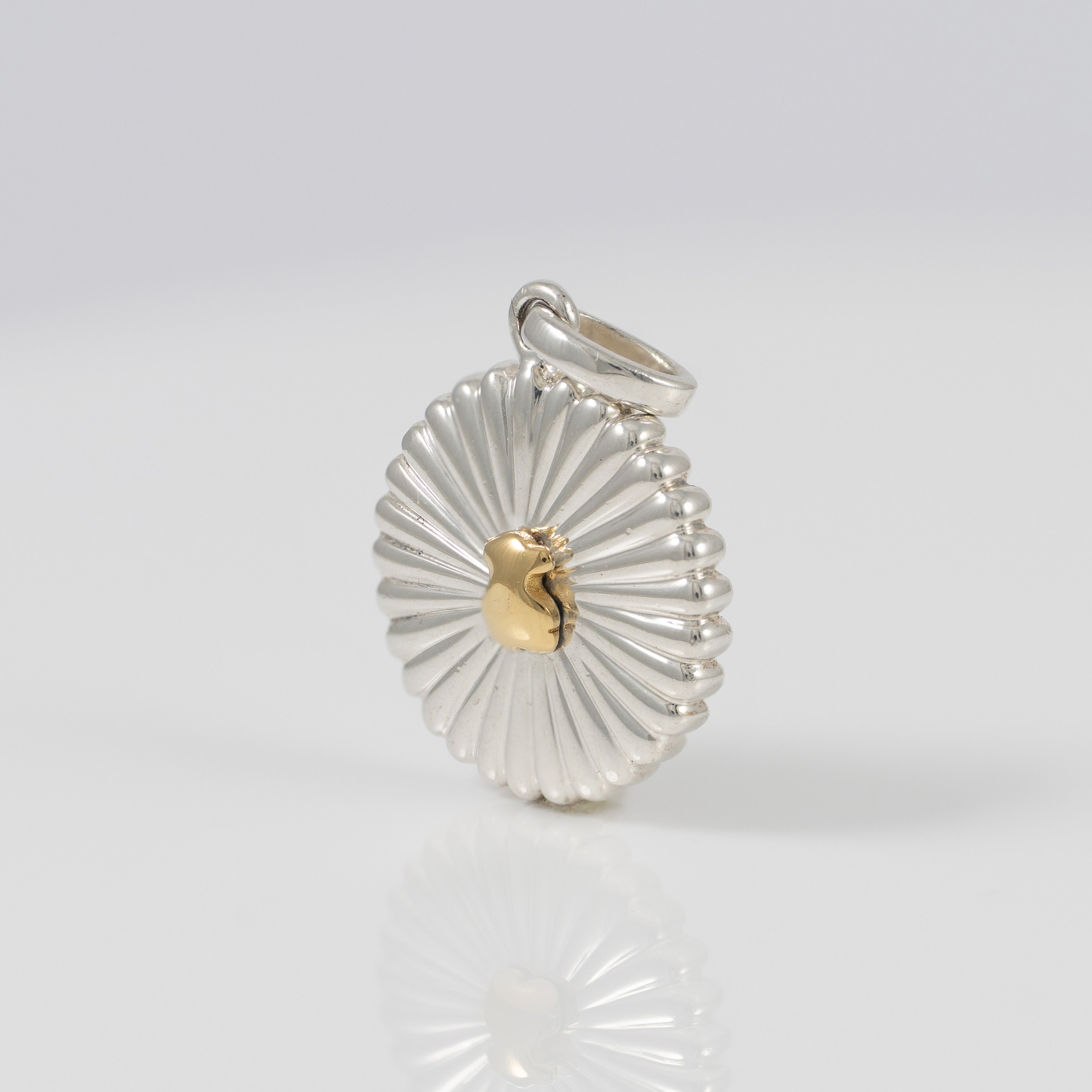 Colgante Tous Bicolor en Plata 925 Iris Motif