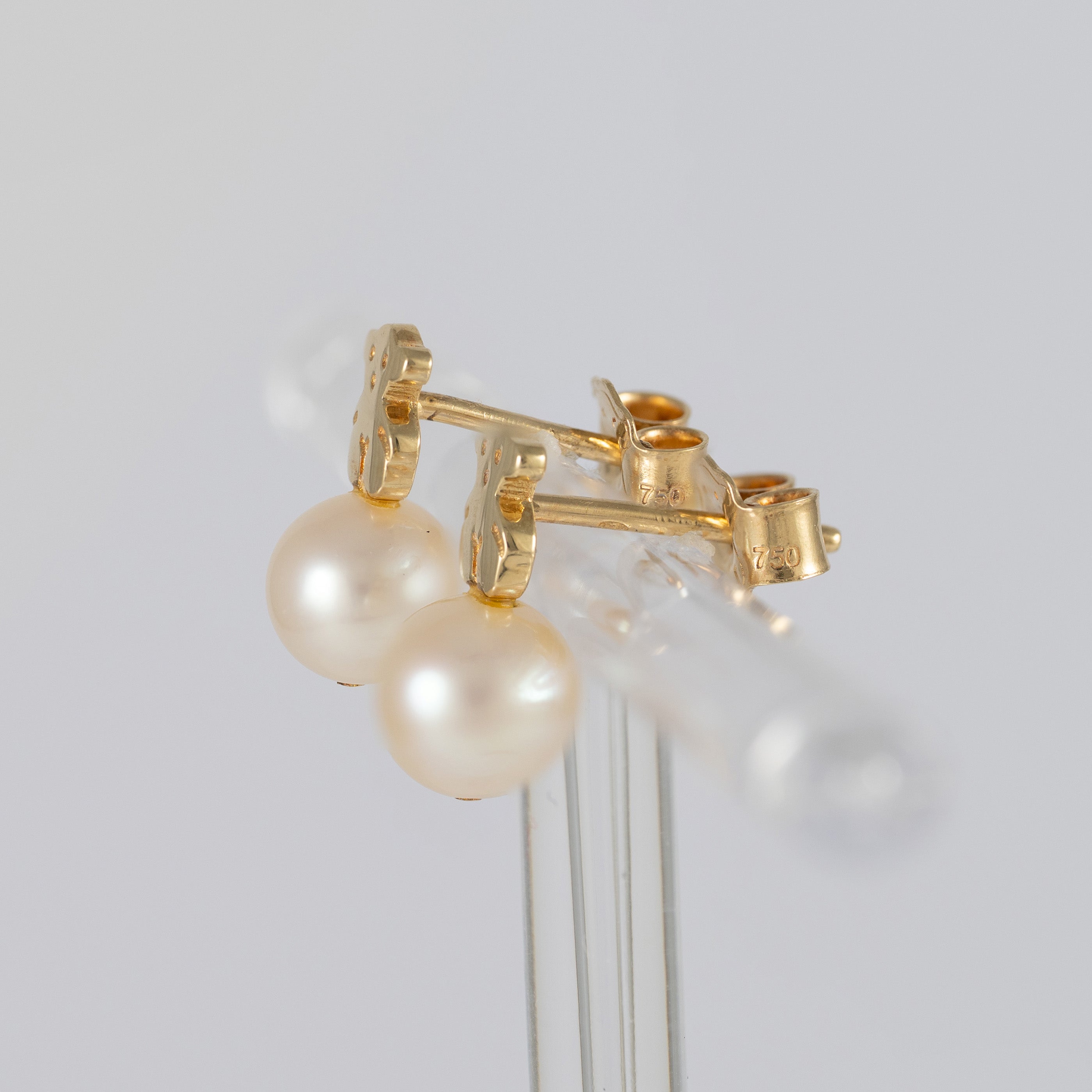 Pendientes Tous Puppies en oro amarillo de 18k y perlas cultivadas